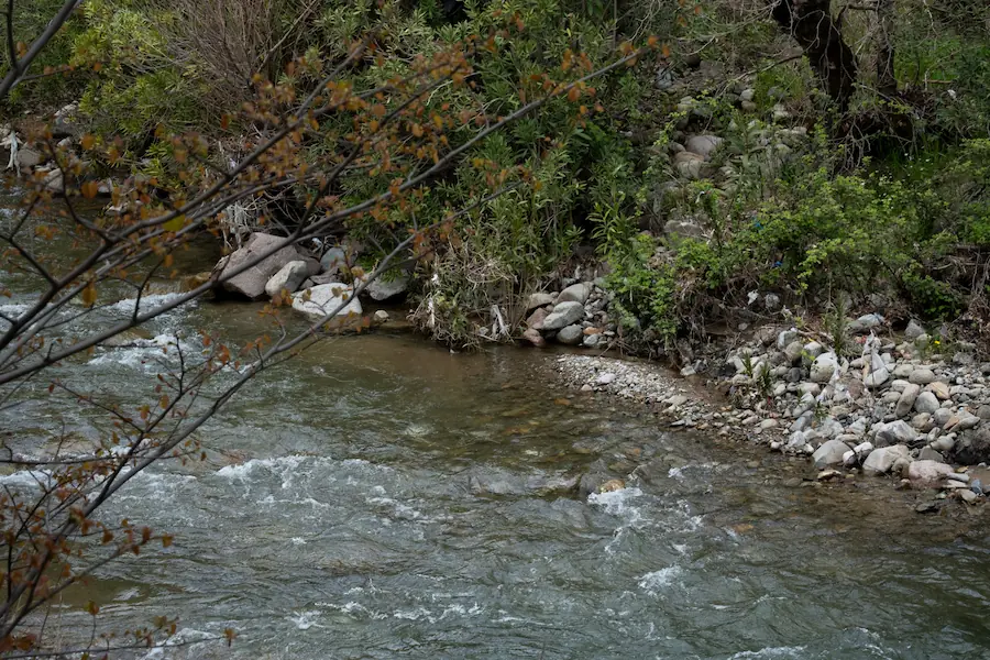 Kozak Kahvaltı Sofrası
